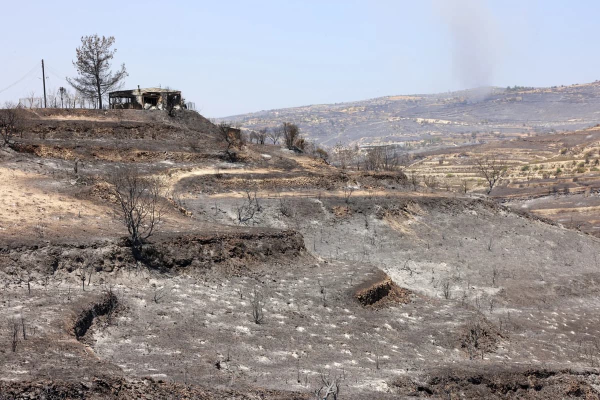 Alarm in Limassol: Fahndung nach Verdächtigem wegen mutmaßlicher Brandstiftung