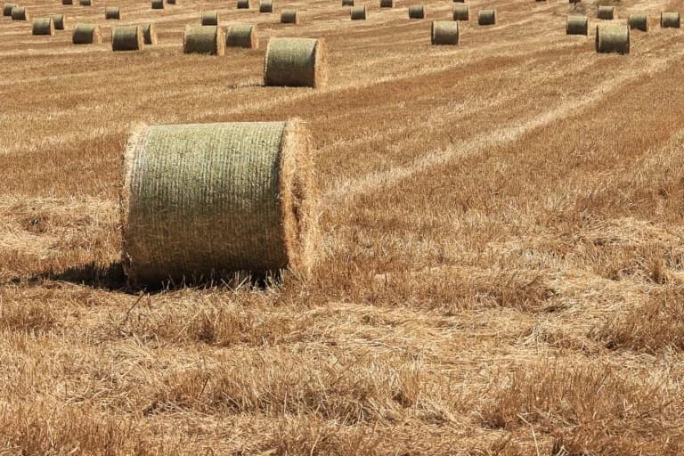 PAC: Cambios en las Subvenciones Agrícolas – Las Repercusiones