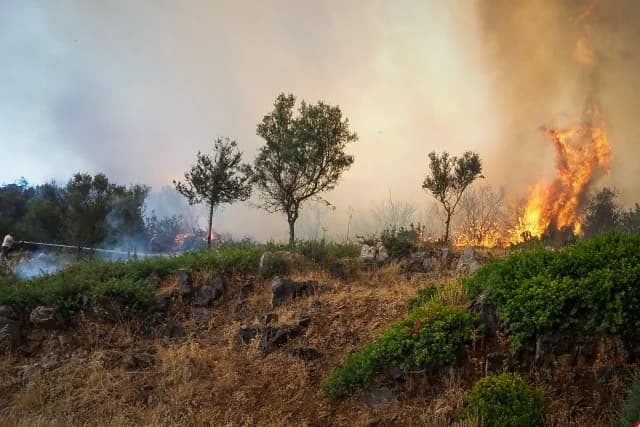 אוויבה: החלו הטלות מים מהאוויר לכיבוי שריפת היער