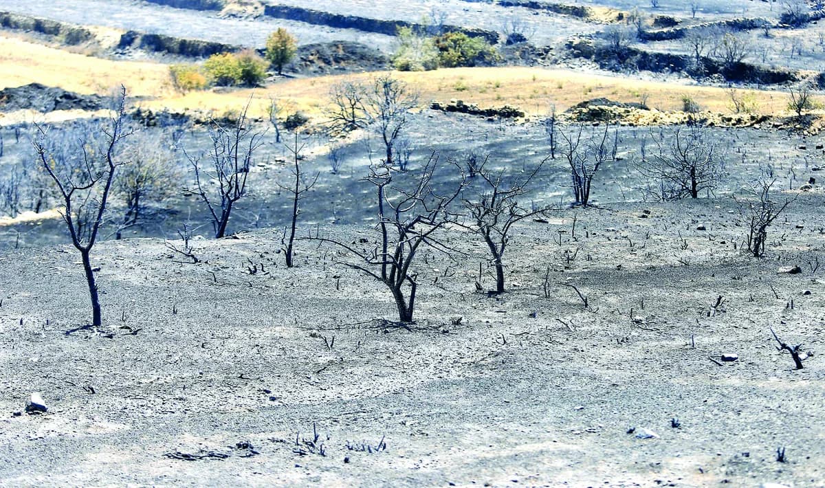 Llamamiento de apoyo a Limassol tras los incendios