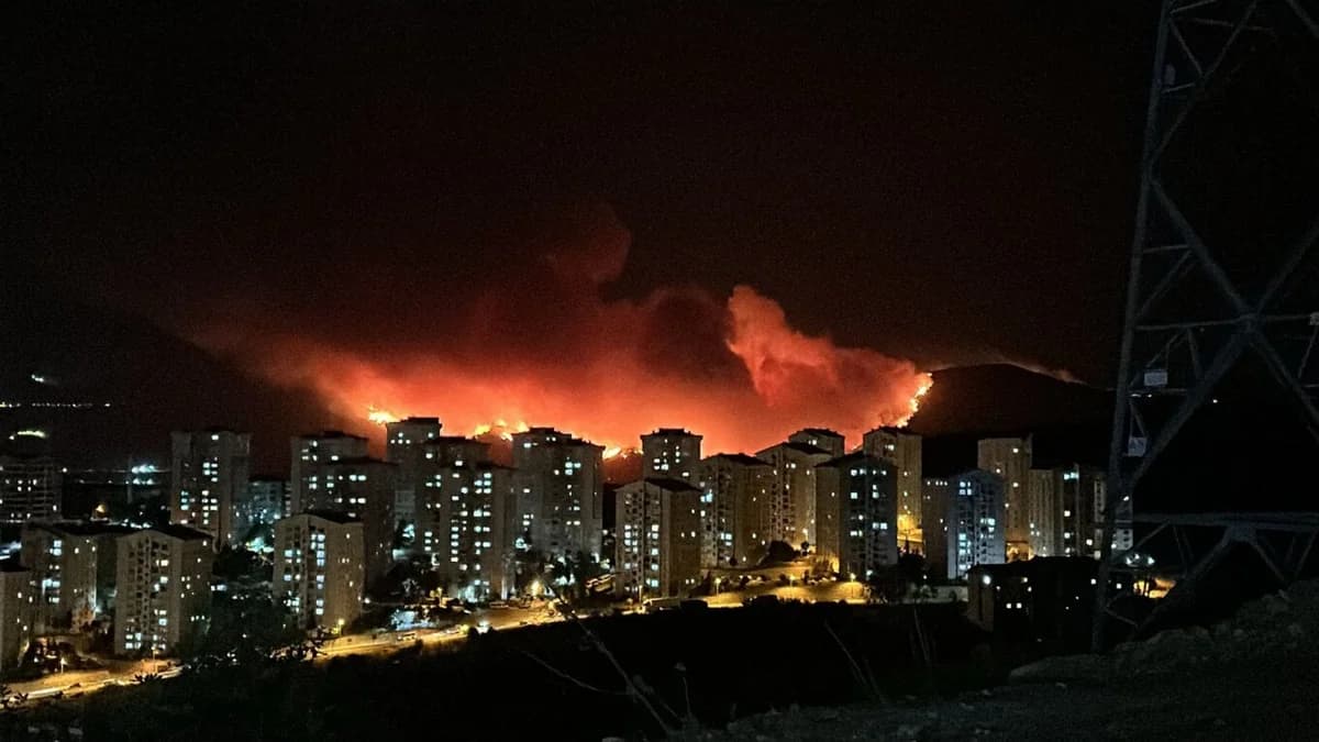 שריפות הרסניות בבורסה, טורקיה: אלפי דונמים נשרפו
