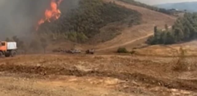 קווי הפרדה: תפקיד מכריע במאבק בשריפות באטיקה ואוויה