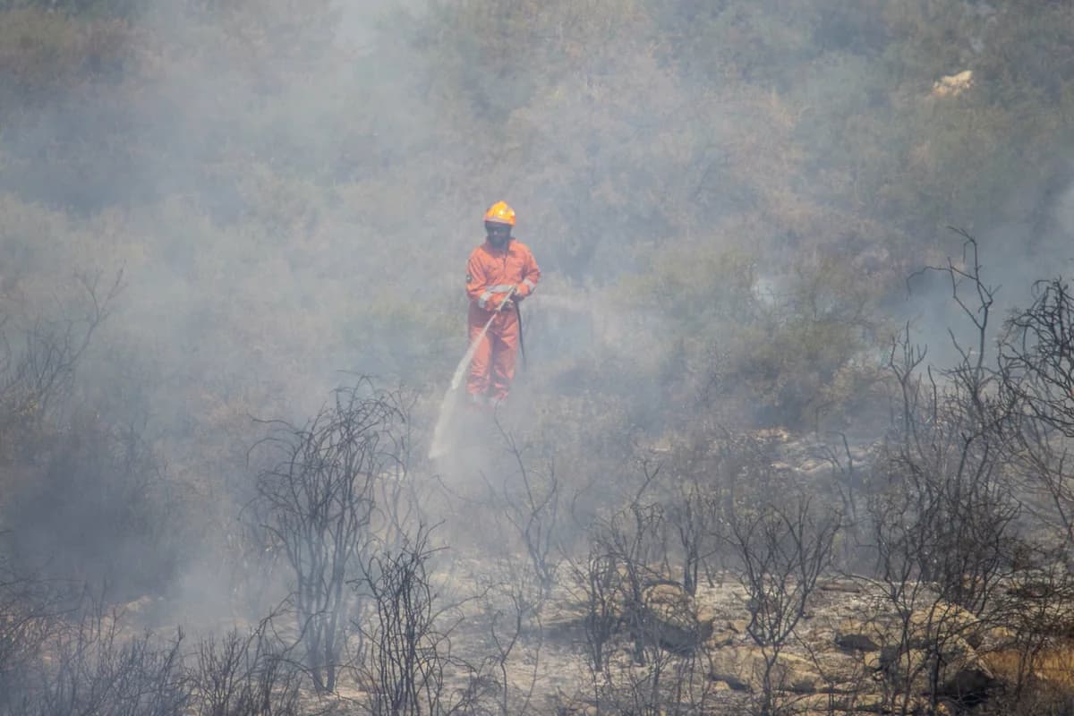 Kilani, Limassol: Feuer zum Verbrennen von Materialien in Brandgebiet entzündet