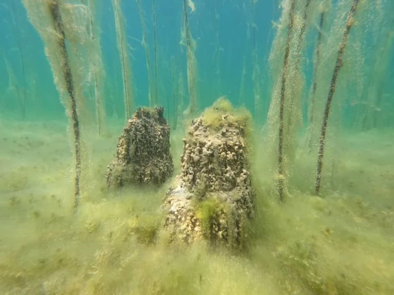 Descubierto en Ohrid el asentamiento lacustre más antiguo de Europa