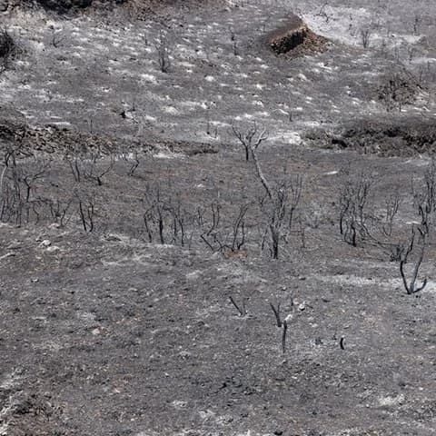 利马索尔受火灾影响地区供水恢复正常