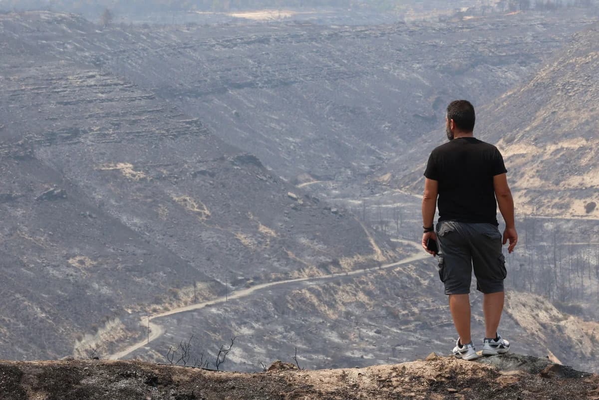 Αγώνας δρόμου για την αποκατάσταση της φύσης μετά τις πυρκαγιές