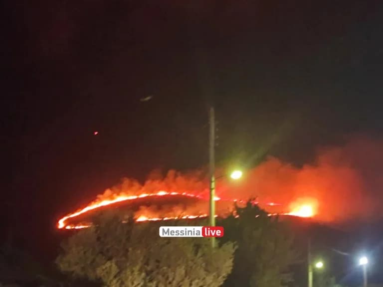 Feuer in Messenien: Landwirtschafts- und Waldgebiet brennt in Metamorfosi