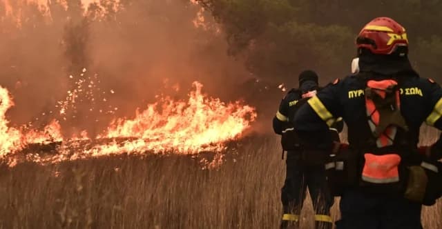Waldbrandrisiko-Vorhersage: 29. Juli