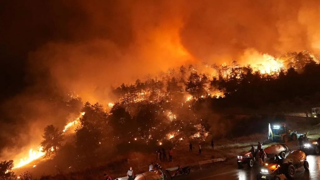 טורקיה: קצין לשעבר לכאורה הצית יער בבורסה
