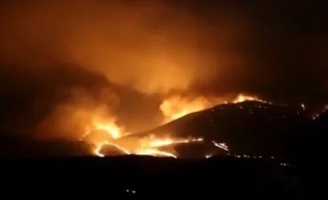 Αλβανία: Συλλήψεις για Εμπρησμούς – Εκτεταμένες Καταστροφές