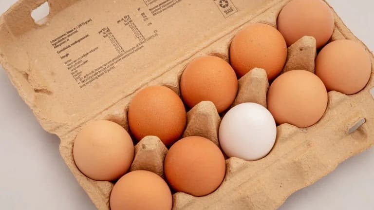 Estudio: Los huevos no aumentan el colesterol 'malo'