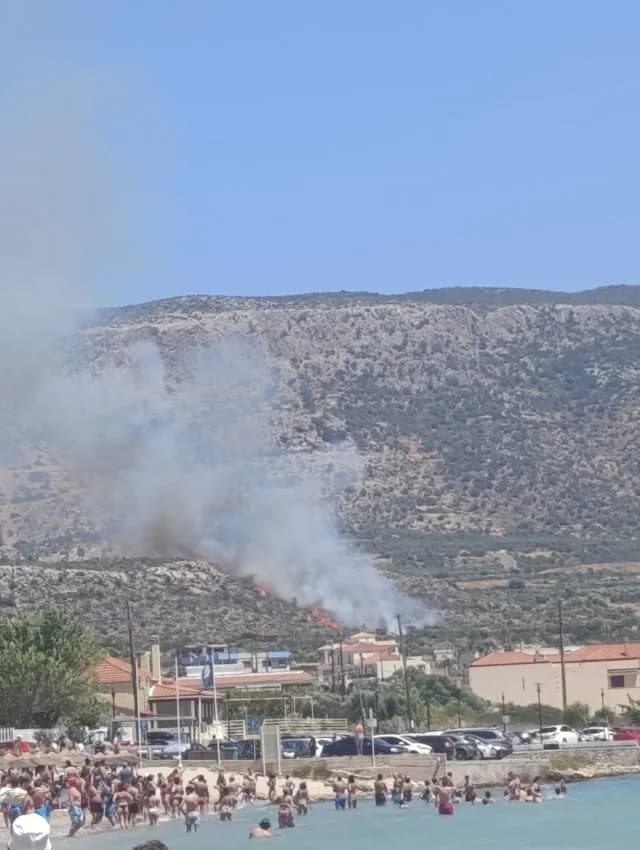 Incendio en vegetación baja en Plytra, Laconia