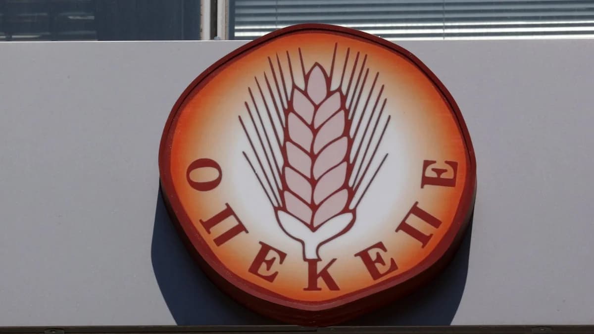 OPEKEPE：补贴欺诈案宣判