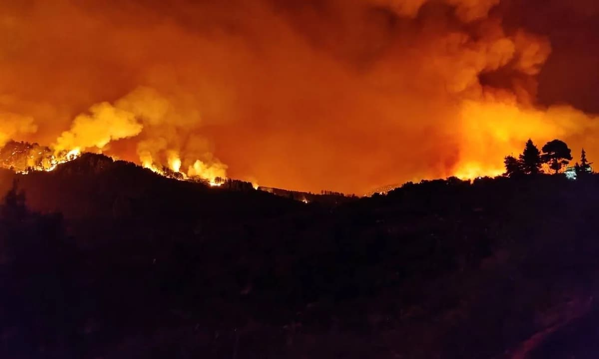 טורקיה: חייל לשעבר הודה בהצתת יער בבורסה