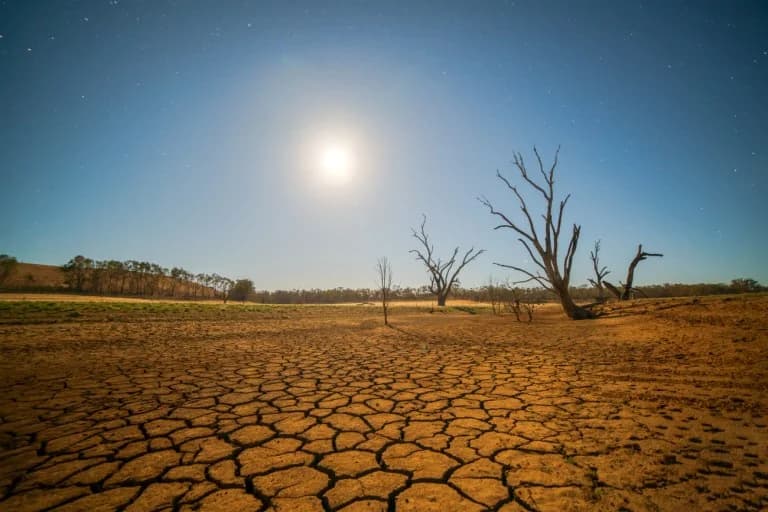 Land trocknet in beispiellosem Tempo aus: Warnung vor globaler Wasserkrise