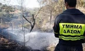 Limassol: Feuerwehrmann-Aussage zu Bränden in Wohngebieten