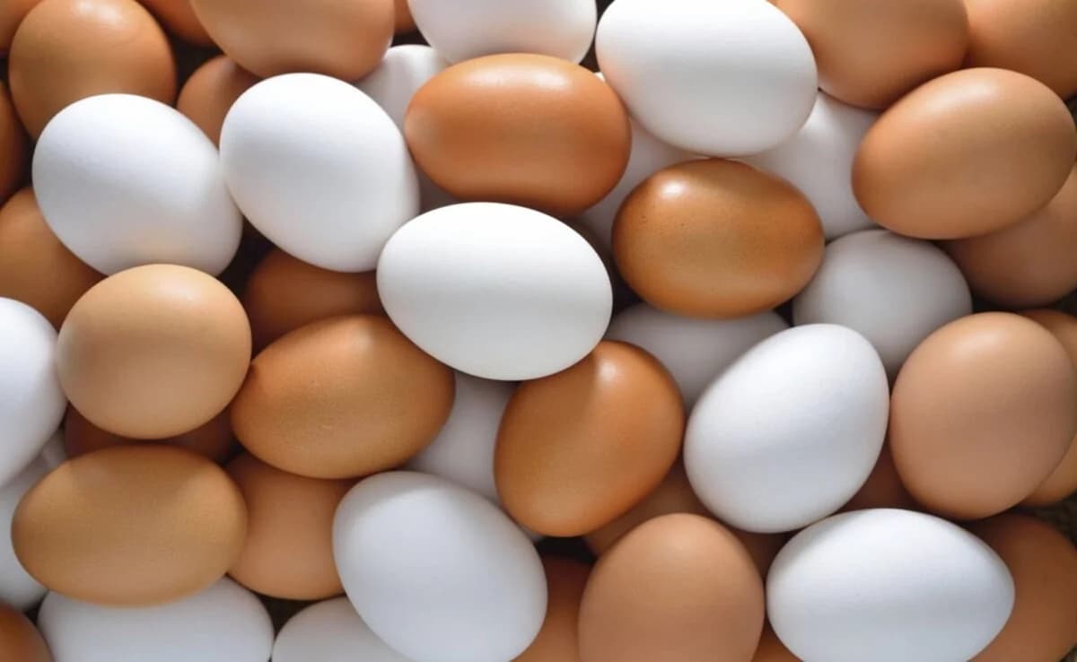 Estudio: Los huevos no elevan el colesterol 'malo'