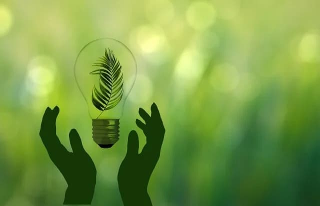EU: Small businesses and households lag in green transition