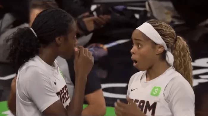WNBA比赛观众向球场投掷按摩棒：震惊与愤怒