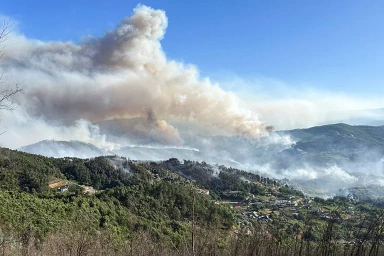 Portugal en Alerta por Incendios Forestales en Medio de Altas Temperaturas