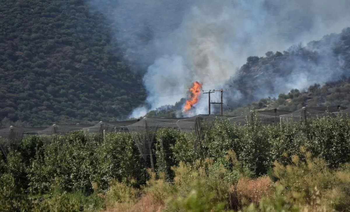 Λάρισα: Υπό έλεγχο η φωτιά στην Αγιά – Αυξημένη επιφυλακή