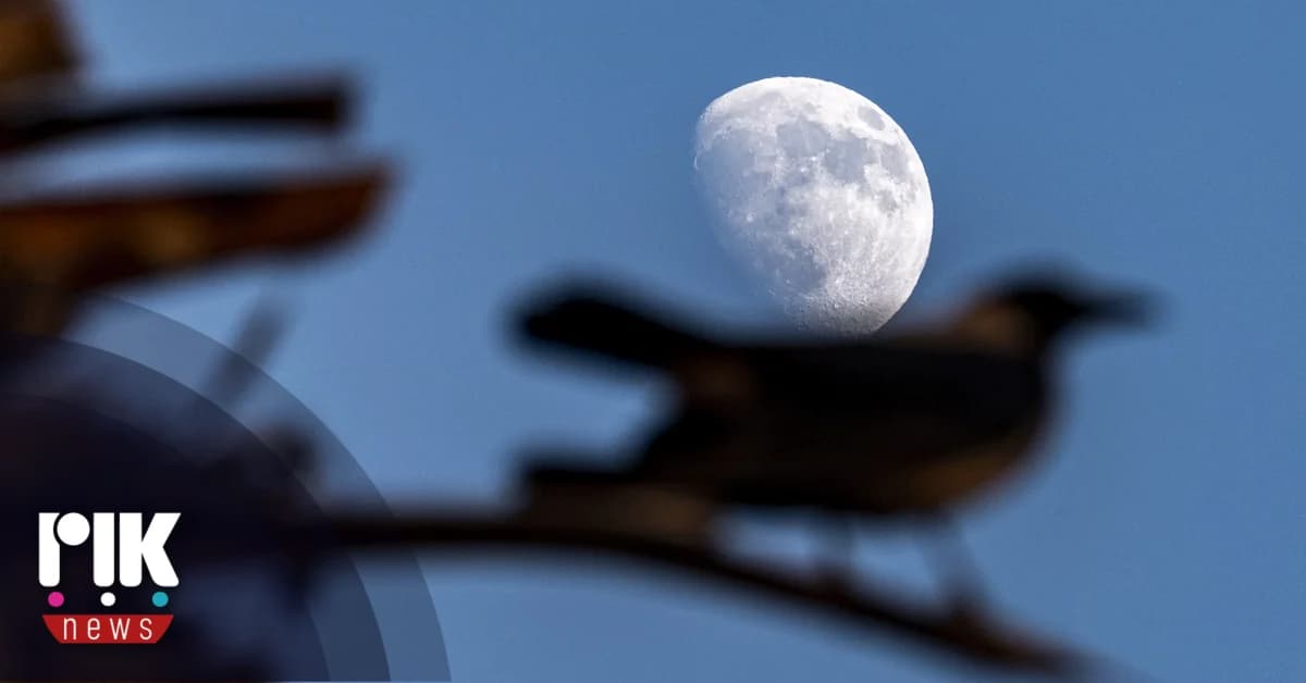 天气预报：晴朗，局部多云 - 2025年7月31日