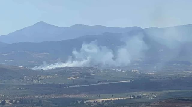 Incendio en Dafni, Laconia, Contenido