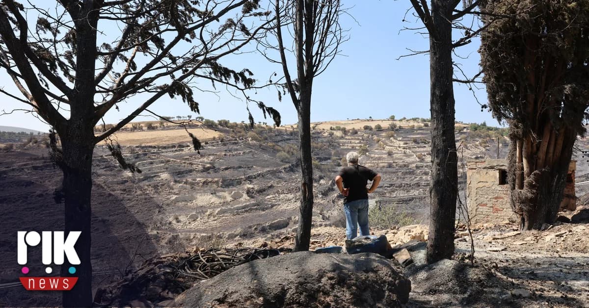 Berichte zum Brand in Limassol dem Präsidenten vorgelegt