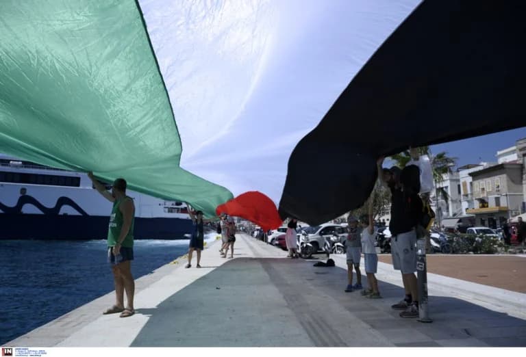 ביקורת על סולידריות עם פלסטין: תגובות והשלכות פוליטיות