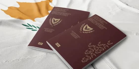 Deadly Fire: Instructions for Replacing ID and Passport