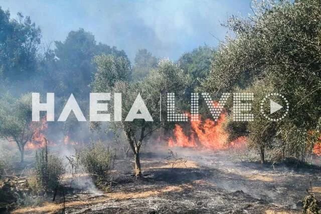 Fire in Melissa Lechaina, Ilia – Immediate Mobilization