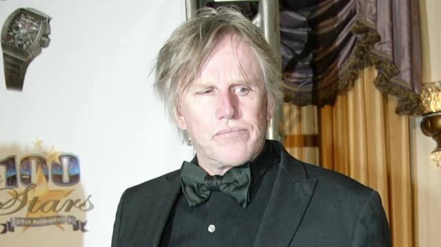 Gary Busey se declara culpable de agresión sexual