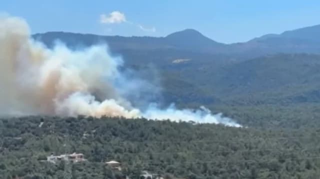 Κρήτη: Δασική πυρκαγιά στον Άγιο Νικόλαο – Προειδοποίηση 112