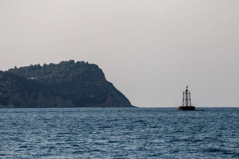 SYRIZA: Türkische Meeresparks bedrohen griechische Interessen
