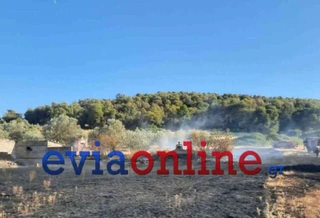 Feuer in Evia: Feuerwehrmann in Gemeinde Dirfys verletzt
