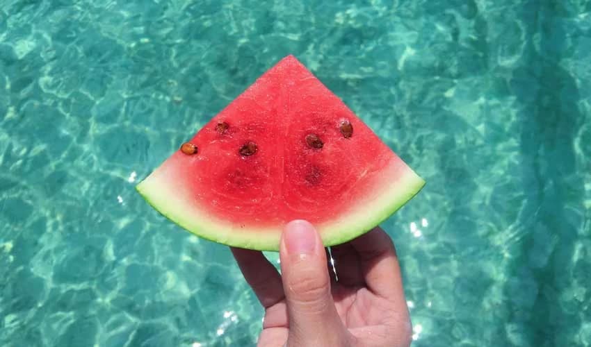 Snacks para la playa: Qué comer y evitar para tener energía y bienestar