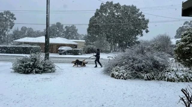 澳大利亚：罕见降雪袭击东部地区