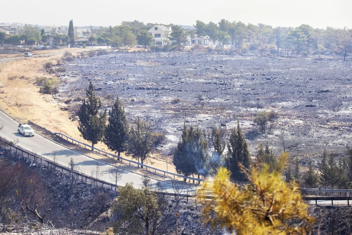 Cyprus Fire Highlights Political Impasse