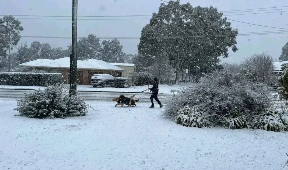澳大利亚东部罕见降雪 - 洪水和停电