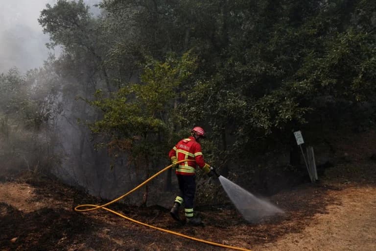 Portugal: Alarm wegen hoher Waldbrandgefahr