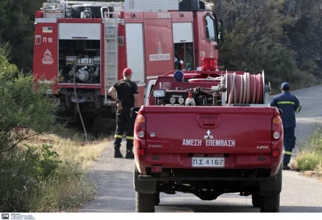 Incendio en Préveza: Operación de extinción en Nea Sampsounta