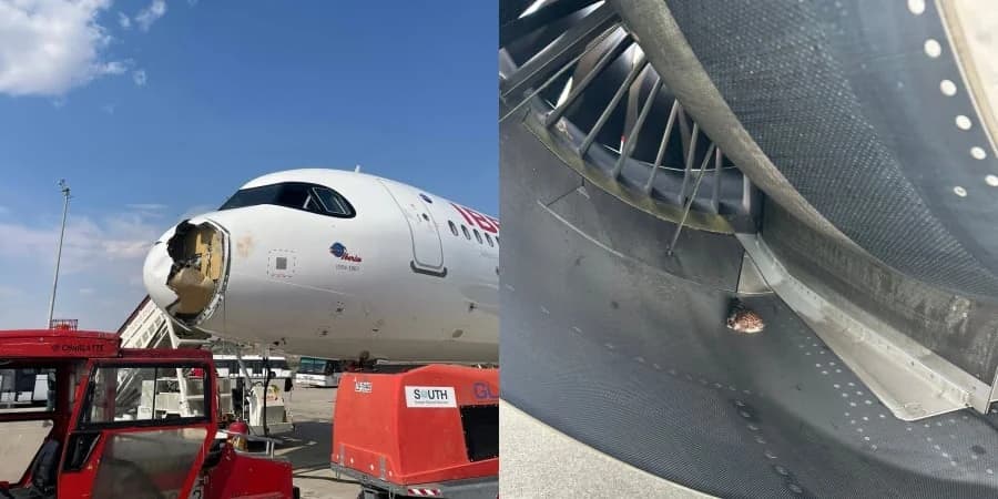 Iberia-Flugzeug nach Vogelschlag in Madrid notgelandet