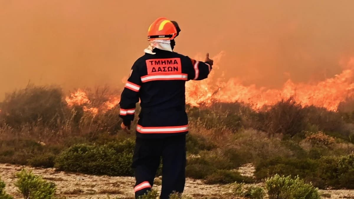 Bericht der Forstbehörde: Das System zur Brandbekämpfung muss umstrukturiert werden
