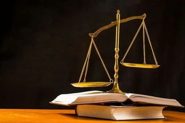 利马索尔致命碰撞事故：71岁老人被判处10个月监禁