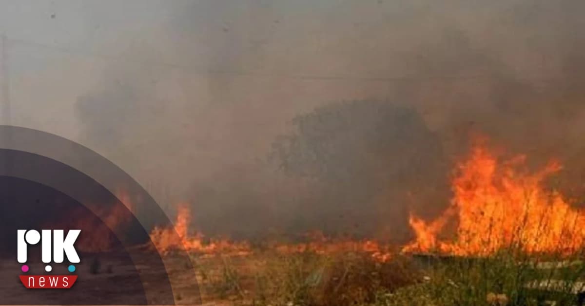 Αμερικανοί ειδικοί: Εγκληματική ενέργεια η εστία της πυρκαγιάς στη Λεμεσό