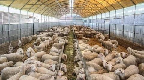 Parliament Approves Referral on Livestock Farming Zones