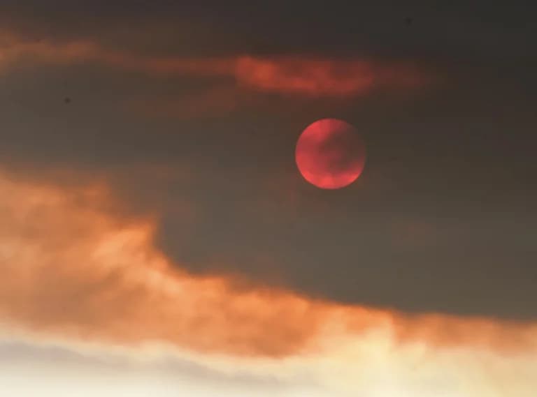 Φωτιά στην Ορεστιάδα: Υπό έλεγχο η πυρκαγιά στο Αμμόβουνο