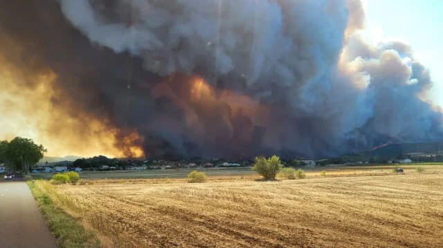 France: One Dead in Aude Fire – 8,000 Hectares Burned