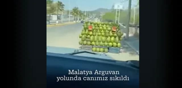Turkey: Outrage Over Video of Youths Destroying Watermelons