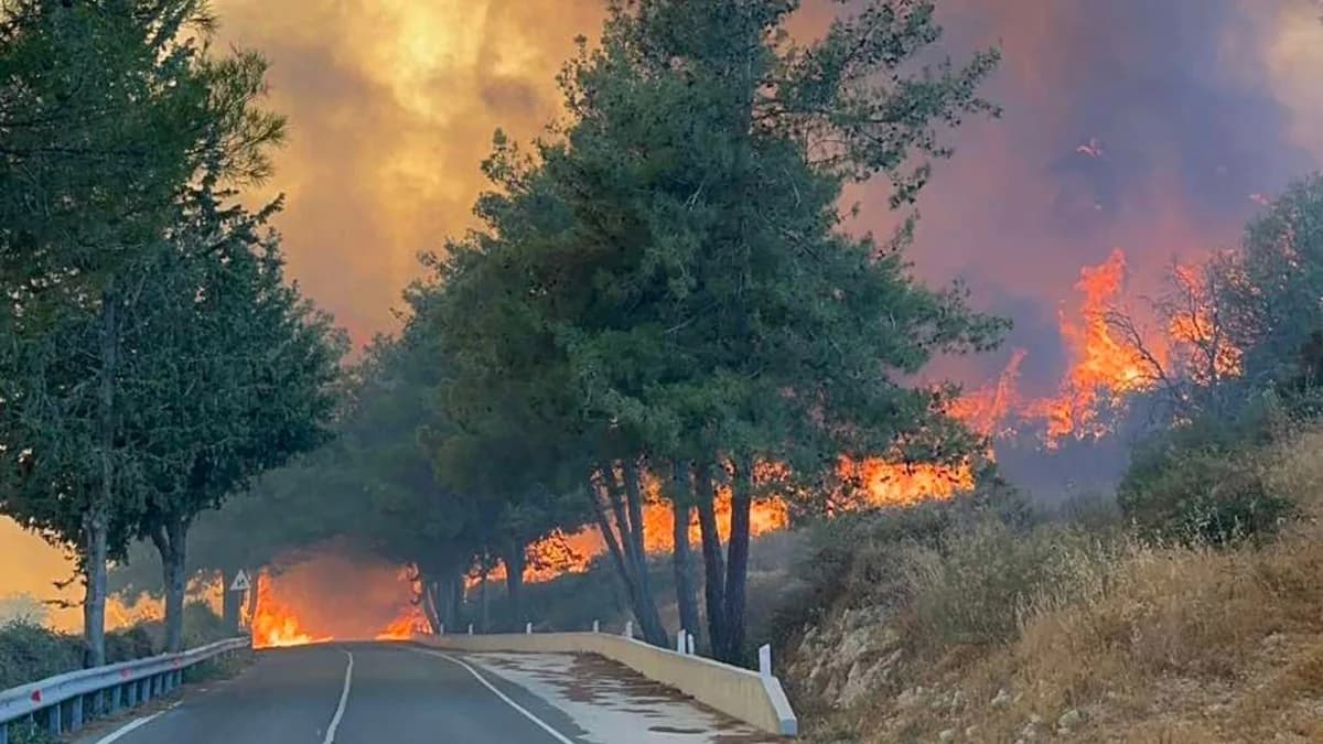 Gavriil: Government Readiness Failed in Limassol Fire